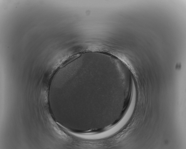 X0000090760393200707271510