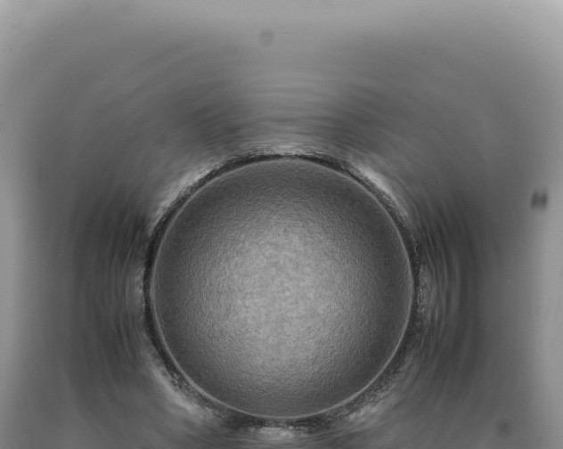 X0000090760394200707271510