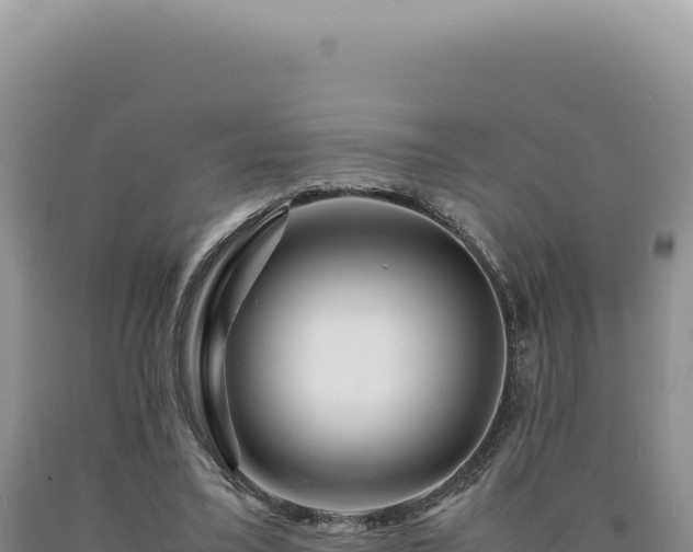 X0000090760395200707271510