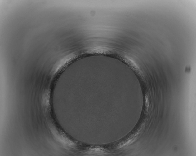 X0000090760396200707271510