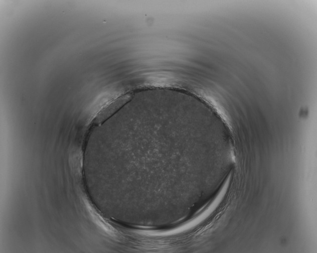 X0000090760397200707271510