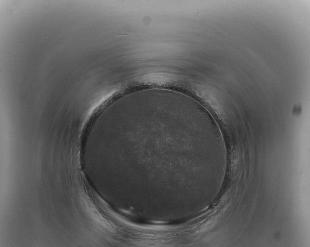 X0000090760399200707271510