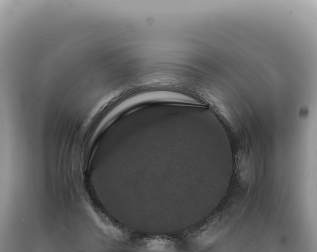 X0000090760400200707271510