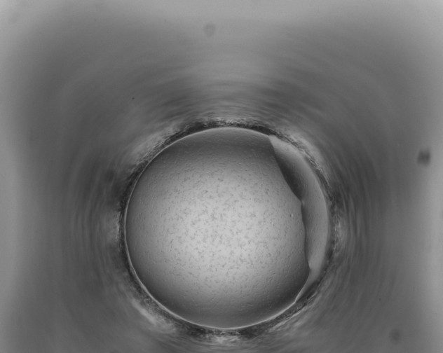 X0000090760401200707271510