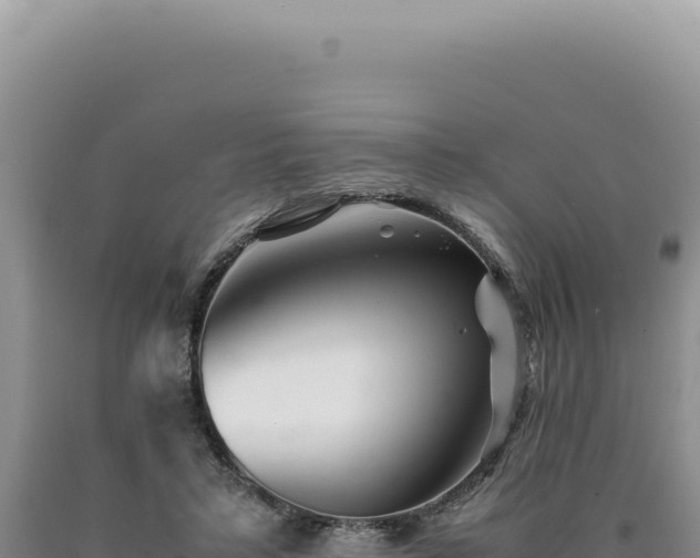 X0000090760403200707271510