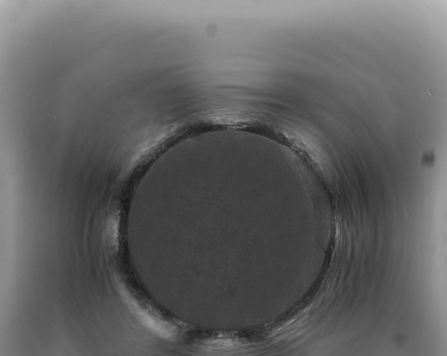 X0000090760404200707271510