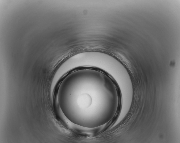 X0000090760405200707271510