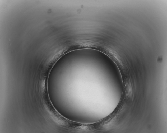 X0000090760406200707271510