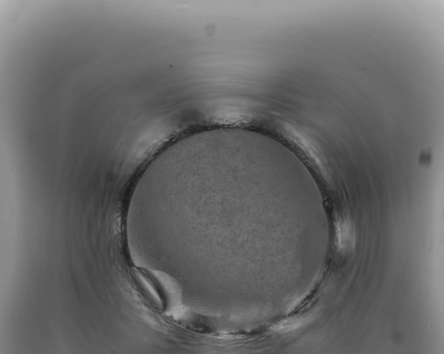 X0000090760407200707271510