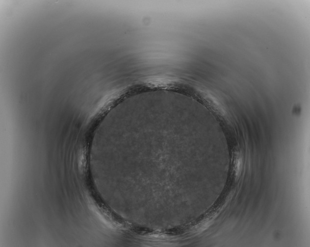 X0000090760408200707271510