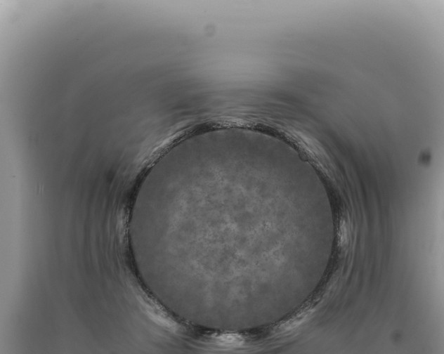 X0000090760409200707271510