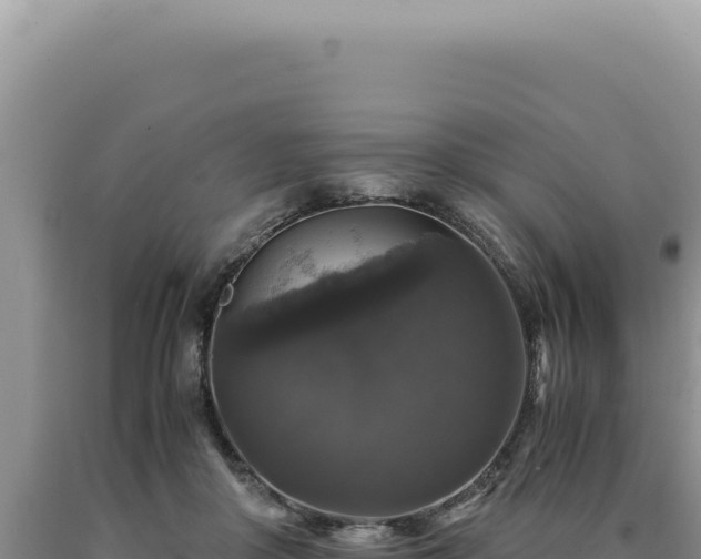 X0000090760410200707271510