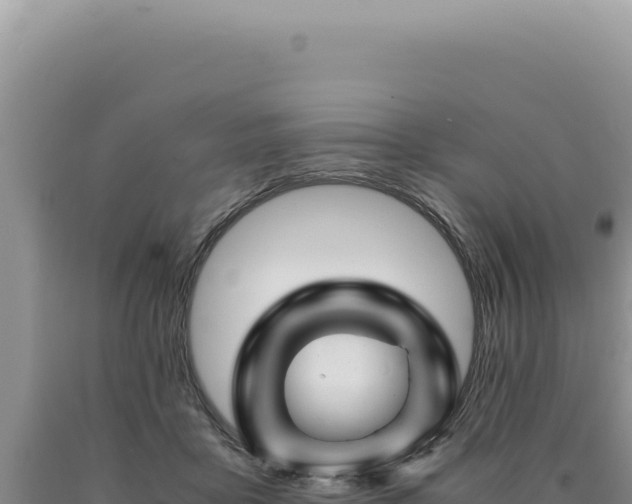 X0000090760411200707271510