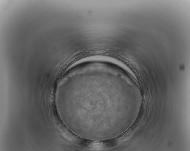 X0000090760413200707271510