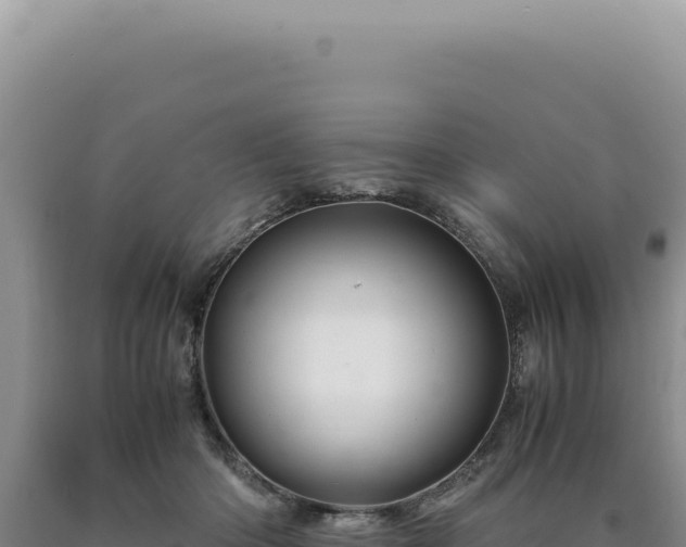 X0000090760414200707271510