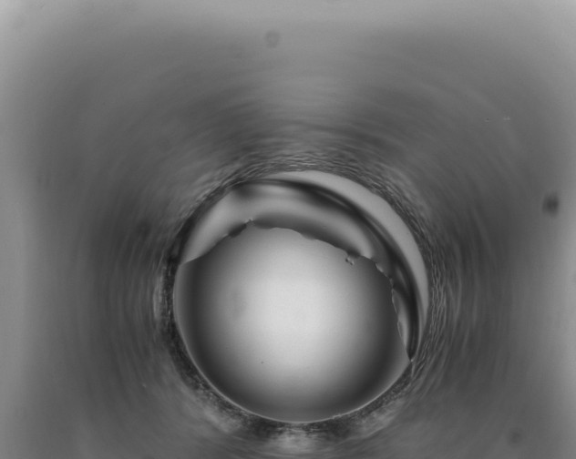 X0000090760416200707271510