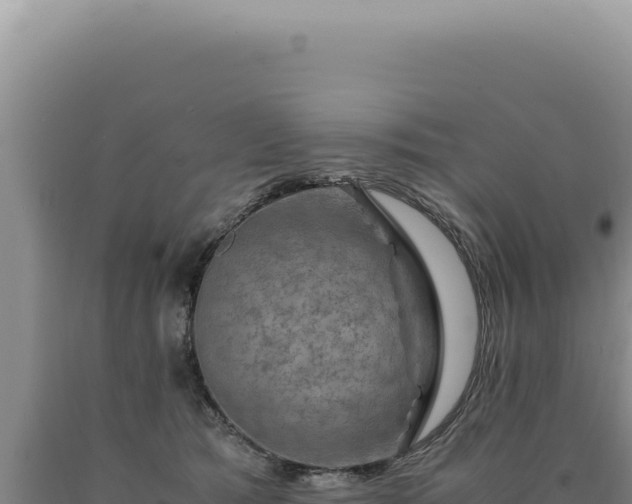 X0000090760417200707271510