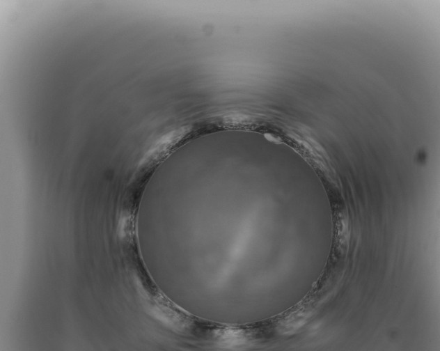 X0000090760419200707271510