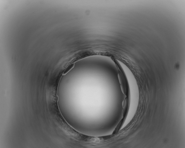 X0000090760421200707271510