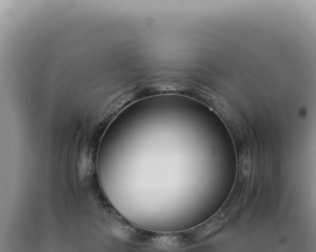 X0000090760422200707271510