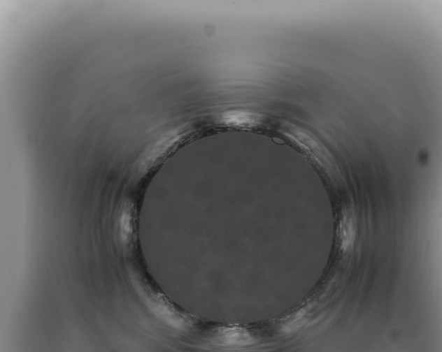 X0000090760424200707271510