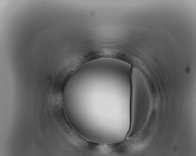 X0000090760425200707271510