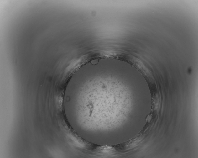 X0000090760427200707271510