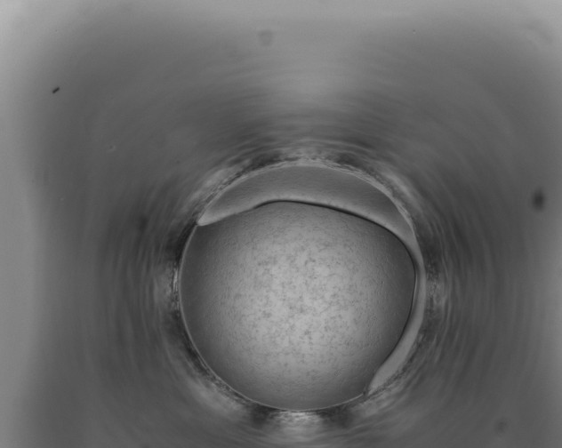 X0000090760429200707271510