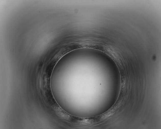 X0000090760430200707271510