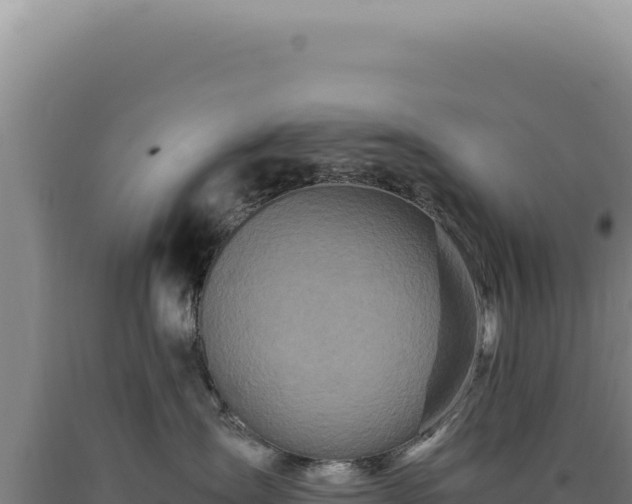 X0000090760431200707271510