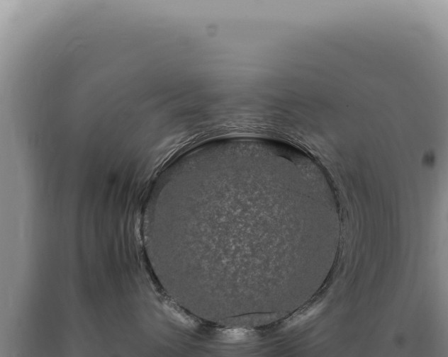 X0000090760432200707271510