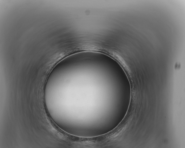 X0000090760433200707271509