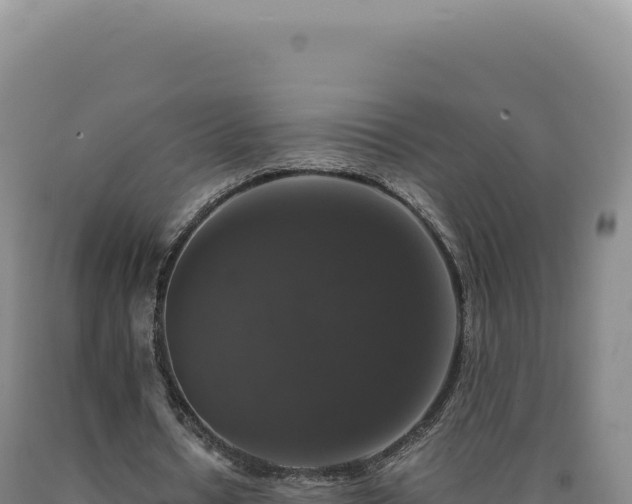 X0000090760434200707271509