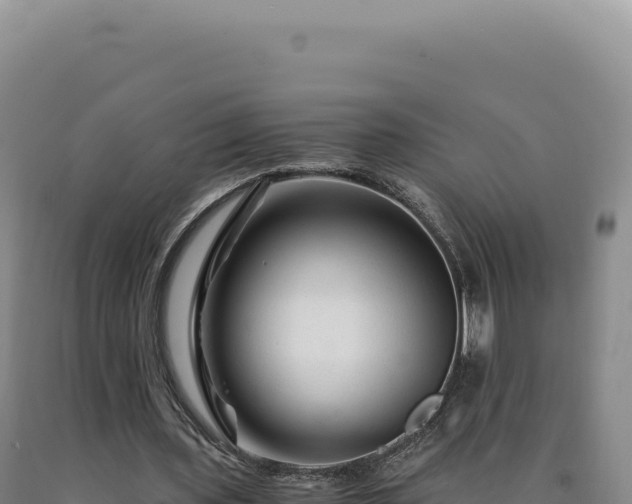 X0000090760435200707271509