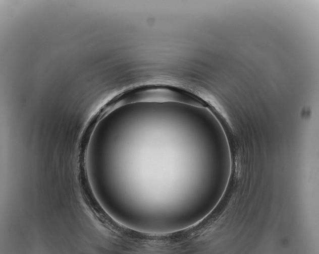 X0000090760436200707271509