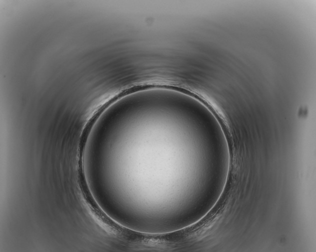 X0000090760437200707271509