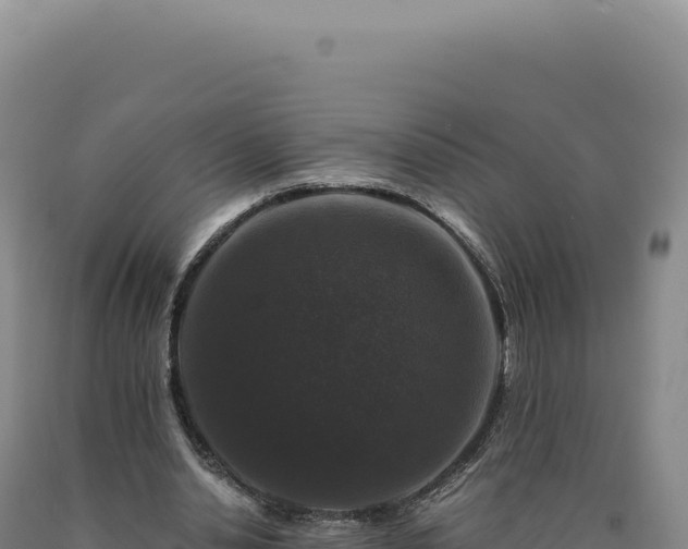 X0000090760438200707271509