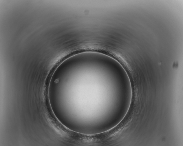 X0000090760439200707271509