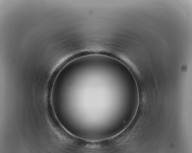 X0000090760440200707271509