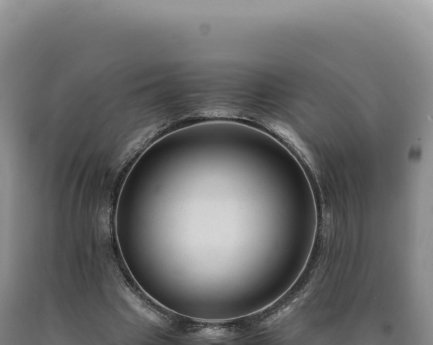 X0000090760441200707271509