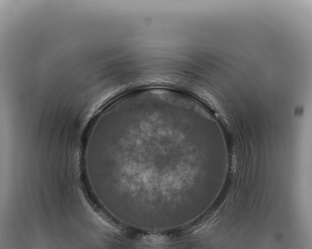 X0000090760444200707271509