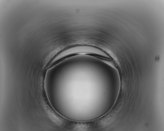 X0000090760445200707271509