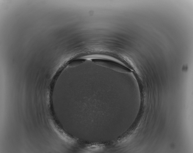 X0000090760447200707271510