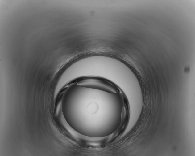 X0000090760448200707271510