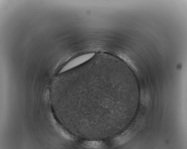 X0000090760449200707271510