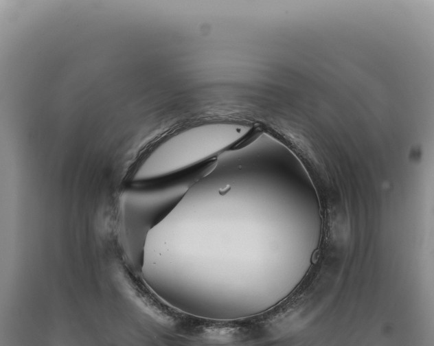 X0000090760450200707271510