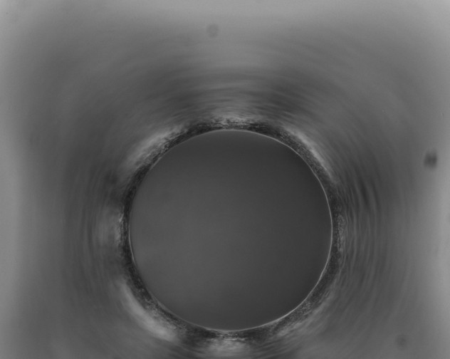 X0000090760451200707271510