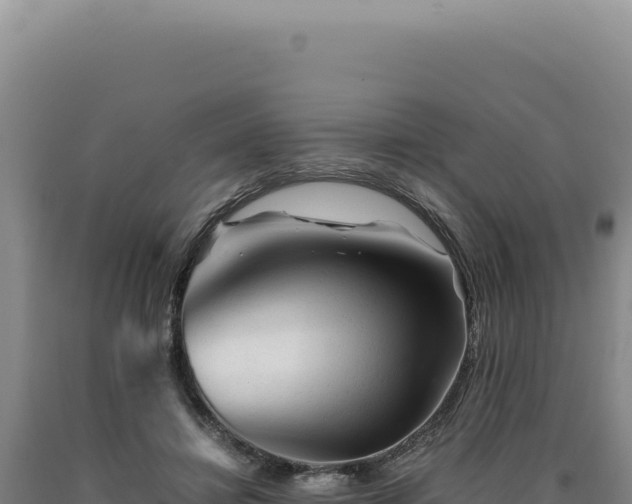 X0000090760452200707271510