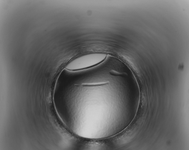 X0000090760453200707271510