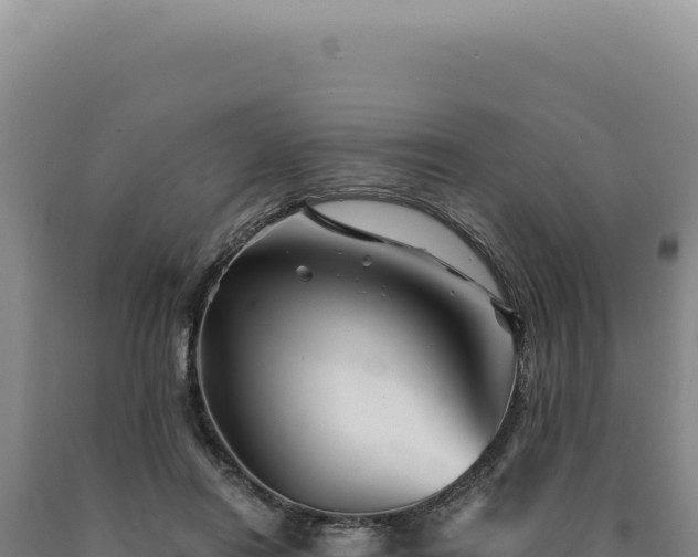 X0000090760454200707271510